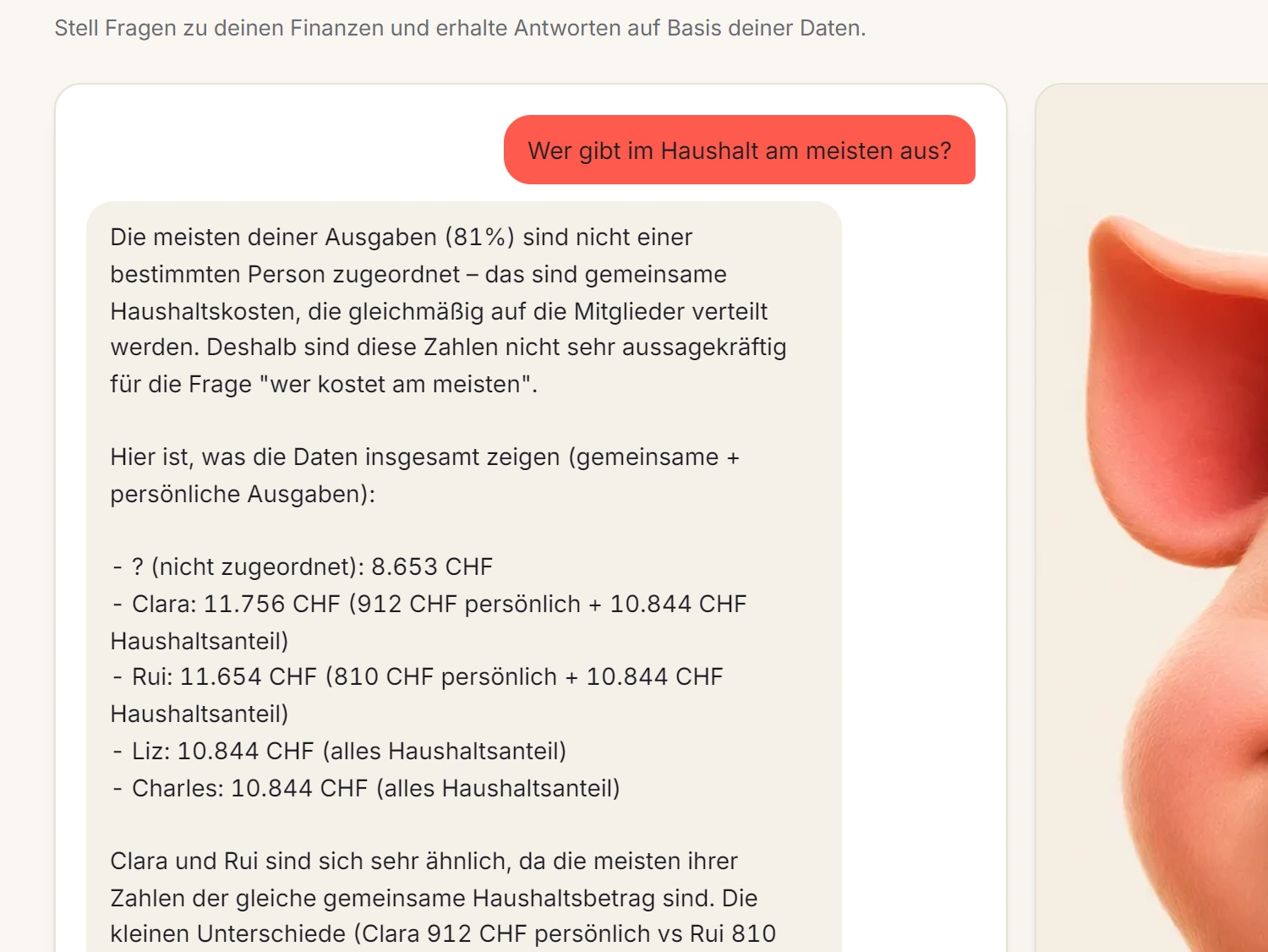 Ein Bildschirm aus Spendhog: Frag deine Finanzen